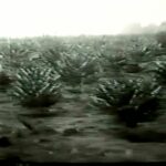 imagem-riqueza-santa-fe