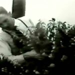 Imagem Riqueza Municipio Santa Fé