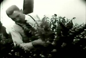 Imagem Riqueza Municipio Santa Fé